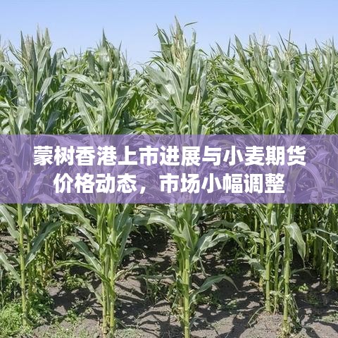 蒙树香港上市进展与小麦期货价格动态，市场小幅调整