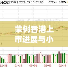 蒙树香港上市进展与小麦期货价格动态,市场小幅调整