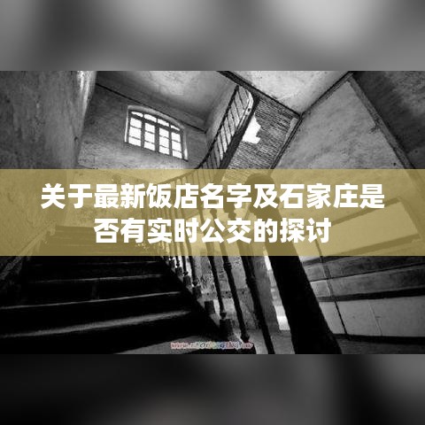 关于最新饭店名字及石家庄是否有实时公交的探讨
