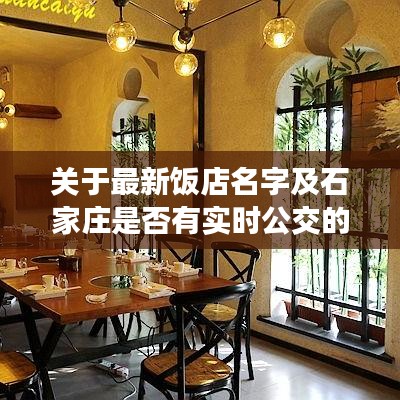 关于最新饭店名字及石家庄是否有实时公交的探讨
