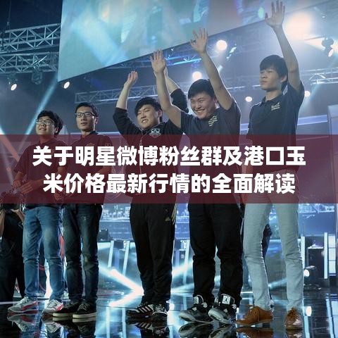 关于明星微博粉丝群及港口玉米价格最新行情的全面解读