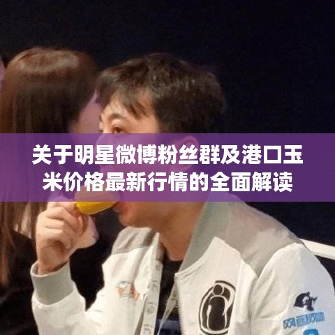 关于明星微博粉丝群及港口玉米价格最新行情的全面解读