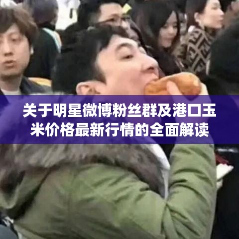 关于明星微博粉丝群及港口玉米价格最新行情的全面解读