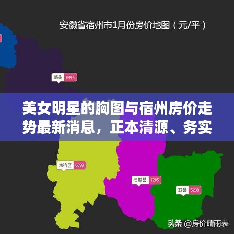 美女明星的胸图与宿州房价走势最新消息，正本清源、务实指导与打假警示
