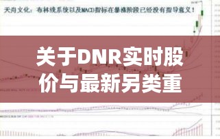 关于DNR实时股价与最新另类重口味下载的相关解读