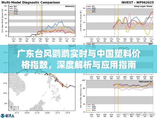 广东台风鹦鹉实时与中国塑料价格指数,深度解析与应用指南