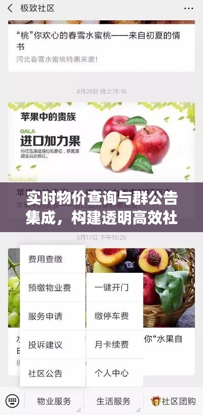 实时物价查询与群公告集成,构建透明高效社区交流新平台