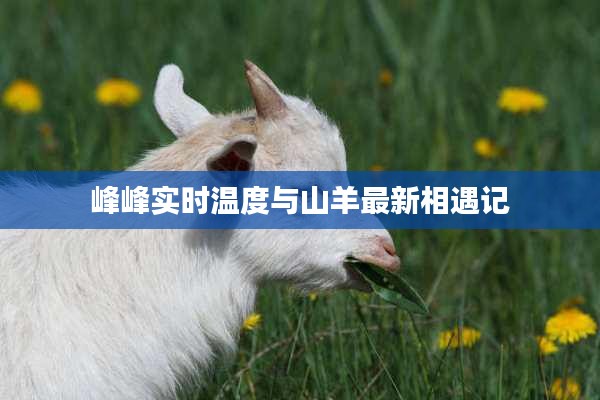 峰峰实时温度与山羊最新相遇记
