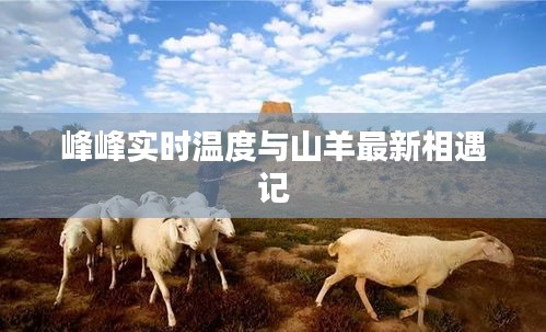 峰峰实时温度与山羊最新相遇记