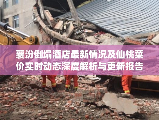 襄汾倒塌酒店最新情况及仙桃菜价实时动态深度解析与更新报告
