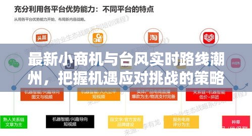 最新小商机与台风实时路线潮州,把握机遇应对挑战的策略