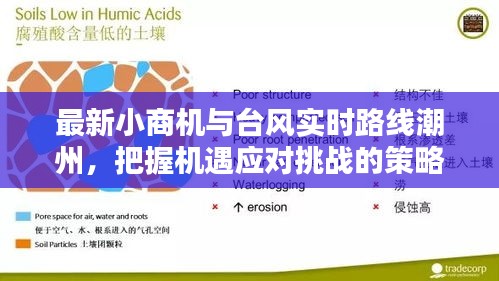 最新小商机与台风实时路线潮州,把握机遇应对挑战的策略