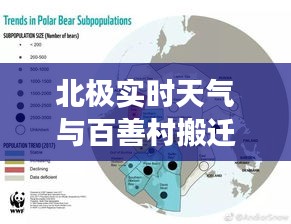 北极实时天气与百善村搬迁最新消息的关系解读