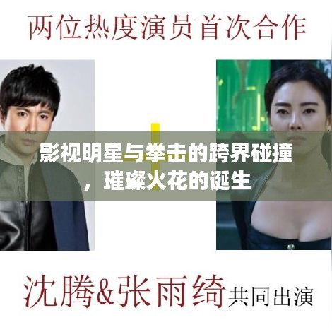 影视明星与拳击的跨界碰撞,璀璨火花的诞生