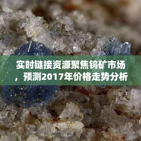 实时链接资源聚焦钨矿市场,预测2017年价格走势分析
