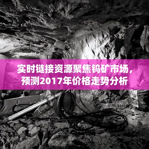 实时链接资源聚焦钨矿市场,预测2017年价格走势分析