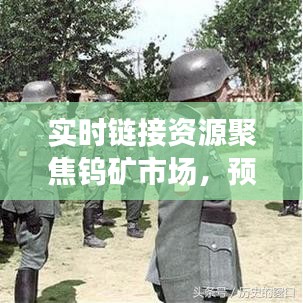 实时链接资源聚焦钨矿市场,预测2017年价格走势分析