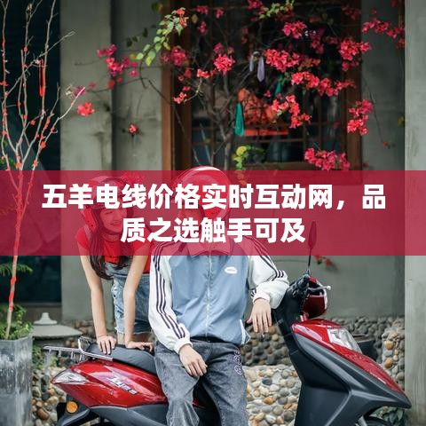 五羊电线价格实时互动网,品质之选触手可及