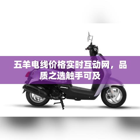 五羊电线价格实时互动网,品质之选触手可及