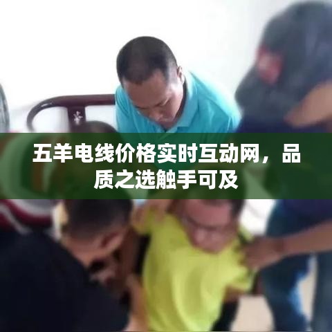 五羊电线价格实时互动网,品质之选触手可及