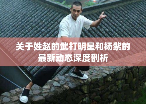 关于姓赵的武打明星和杨紫的最新动态深度剖析