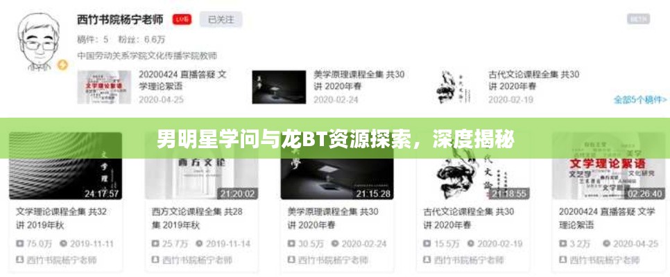 男明星学问与龙BT资源探索,深度揭秘