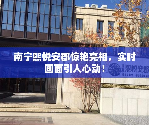 南宁熙悦安郡惊艳亮相,实时画面引人心动!