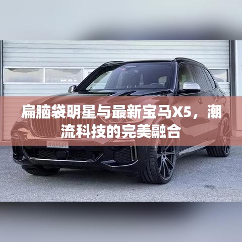 扁脑袋明星与最新宝马X5，潮流科技的完美融合