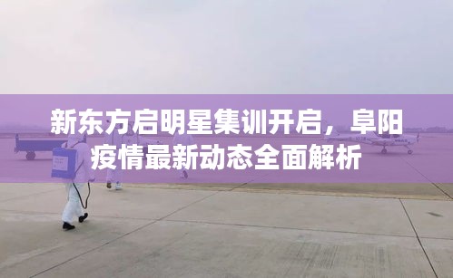 新东方启明星集训开启,阜阳疫情最新动态全面解析