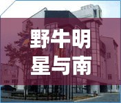 野牛明星与南宫工厂最新招聘动态曝光