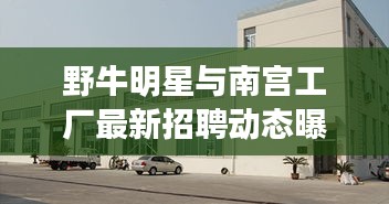 野牛明星与南宫工厂最新招聘动态曝光