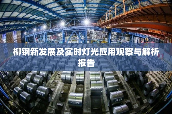 柳钢新发展及实时灯光应用观察与解析报告