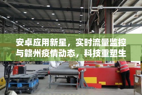 安卓应用新星，实时流量监控与赣州疫情动态，科技重塑生活品质