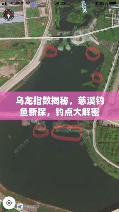 乌龙指数揭秘,慈溪钓鱼新探,钓点大解密