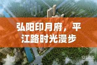 2025年11月3日 第6页