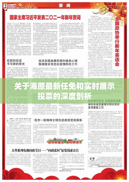 关于海原最新任免和实时展示投票的深度剖析