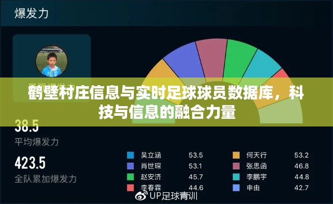 鹤壁村庄信息与实时足球球员数据库,科技与信息的融合力量