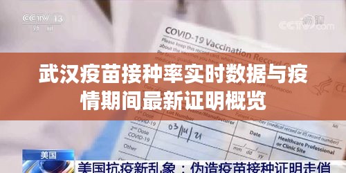 武汉疫苗接种率实时数据与疫情期间最新证明概览