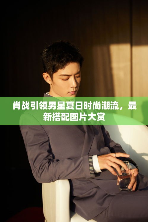 肖战引领男星夏日时尚潮流,最新搭配图片大赏