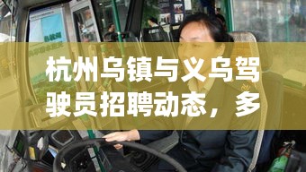 杭州乌镇与义乌驾驶员招聘动态，多重因素背后的观察与破局之道