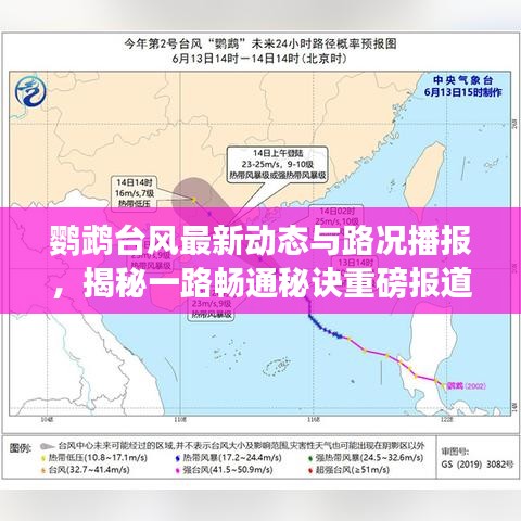 鹦鹉台风最新动态与路况播报,揭秘一路畅通秘诀重磅报道!