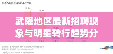 武隆地区最新招聘现象与明星转行趋势分析