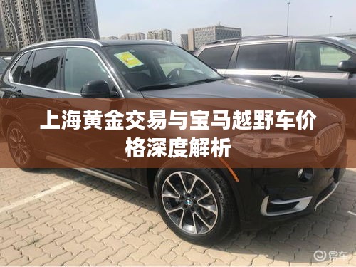 上海黄金交易与宝马越野车价格深度解析