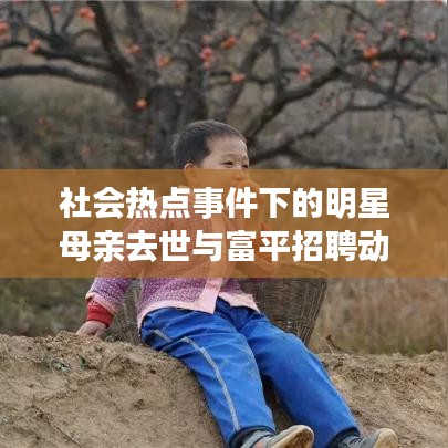 社会热点事件下的明星母亲去世与富平招聘动态,关联性探讨与分析