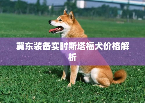 冀东装备实时斯塔福犬价格解析