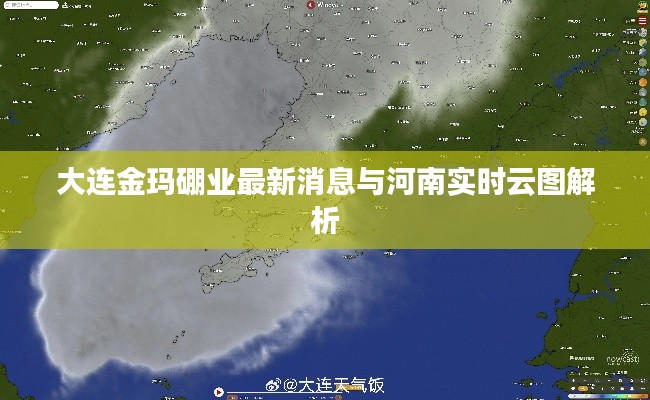 大连金玛硼业最新消息与河南实时云图解析