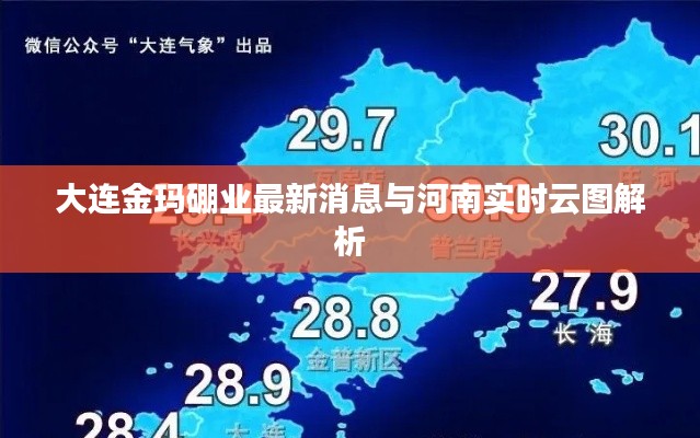 大连金玛硼业最新消息与河南实时云图解析