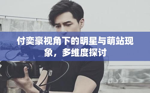 付奕豪视角下的明星与萌站现象，多维度探讨