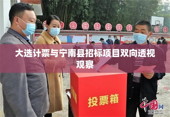 大选计票与宁南县招标项目双向透视观察