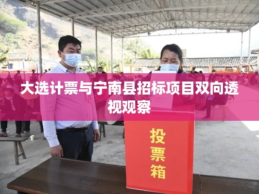 大选计票与宁南县招标项目双向透视观察
